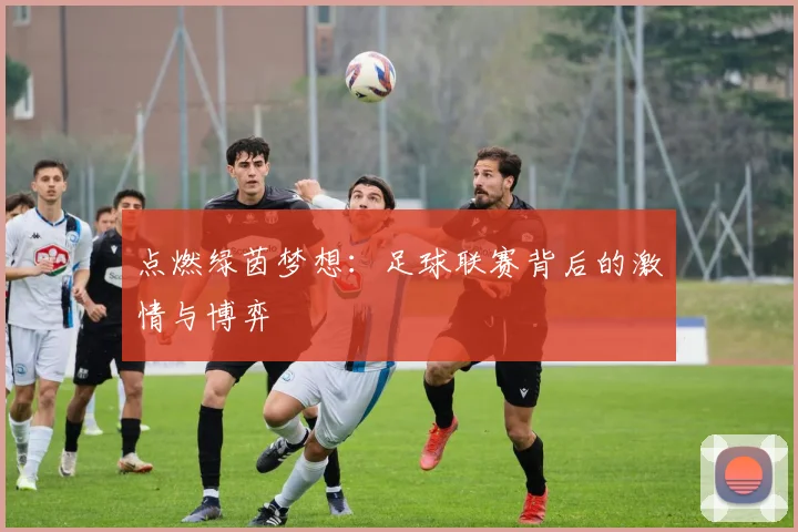 点燃绿茵梦想：足球联赛背后的激情与博弈