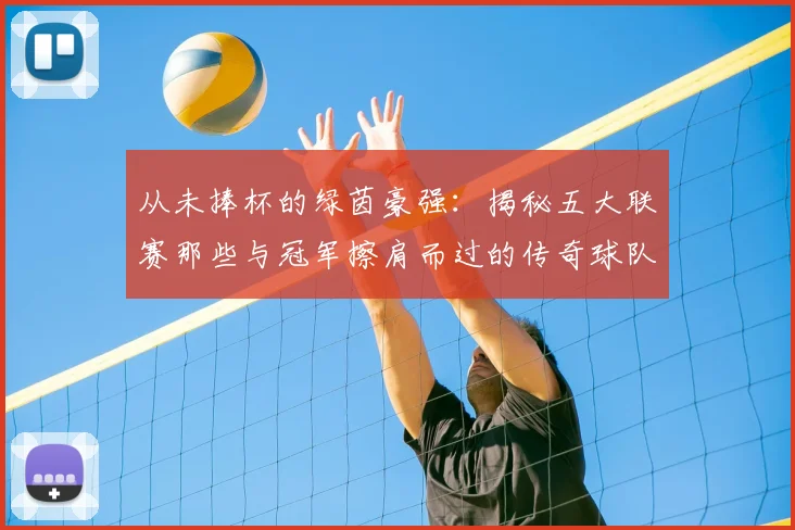 从未捧杯的绿茵豪强：揭秘五大联赛那些与冠军擦肩而过的传奇球队